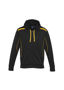 Picture of Biz Collection Men's United Hoodie SW310M