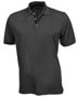 Picture of Stencil Mens Superdry Polo 1062