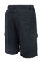 Picture of Huski Cascade Mens Shorts K5206