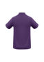 Picture of Biz Care Mens Crew Polo P400MS