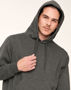 Picture of Winning Spirit PASSION Fleece Hoodie - Unisex FL09