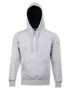 Picture of Winning Spirit PASSION Fleece Hoodie - Unisex FL09