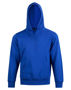 Picture of Winning Spirit PASSION Fleece Hoodie Kids FL09K