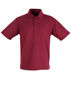 Picture of Winning Spirit TRADITIONAL POLO Unisex PS11