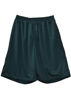 Picture of Winning Spirit AIRPASS SHORTS Adults SS21