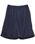 Picture of Winning Spirit AIRPASS SHORTS Adults SS21