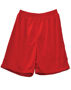 Picture of Winning Spirit AIRPASS SHORTS Adults SS21