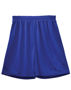 Picture of Winning Spirit AIRPASS SHORTS Adults SS21