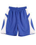 Picture of Winning Spirit SLAMDUNK SHORTS Adult SS23