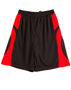 Picture of Winning Spirit SLAMDUNK SHORTS Kids SS23K