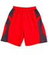 Picture of Winning Spirit SLAMDUNK SHORTS Kids SS23K