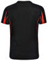 Picture of Winning Spirit LEGEND Tee Shirt Men's TS53