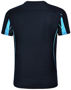 Picture of Winning Spirit LEGEND Tee Shirt Men's TS53