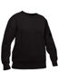 Picture of Bisley Women's Fleece Crew Neck Jumper BKL6723