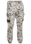 Picture of Bisley Flx & Move™ Stretch Camo Cargo Pants - Limited Edition BPC6337