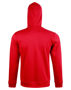 Picture of Winning Spirit PASSION PURSUIT Hoodie Men's FL17