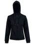 Picture of Winning Spirit PASSION PURSUIT Hoodie Women's FL18