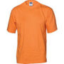 Picture of DNC HiVis Cotton Jersey Tee - S/S 3847