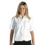 Picture of DNC Ladies Polyester Cotton
Poplin Shirt - Short Sleeve 4201