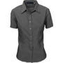 Picture of DNC Ladies Premier Stretch Poplin Business Shirts - Short Sleeve 4231