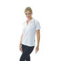 Picture of DNC Ladies Cool Breathe Rome Polo 5268