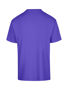 Picture of RAMO Men's / Unisex Regular T-shirt T202HT