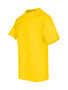 Picture of RAMO Men's / Unisex Regular T-shirt T202HT