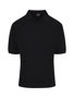 Picture of RAMO Men's Cotton  Pigment Dyed Polo P737HS