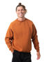 Picture of RAMO Adults' Cotton Care Sweatshirt F367CW