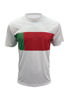 Picture of BOCINI WORLD CUP JERSEY FWC2221