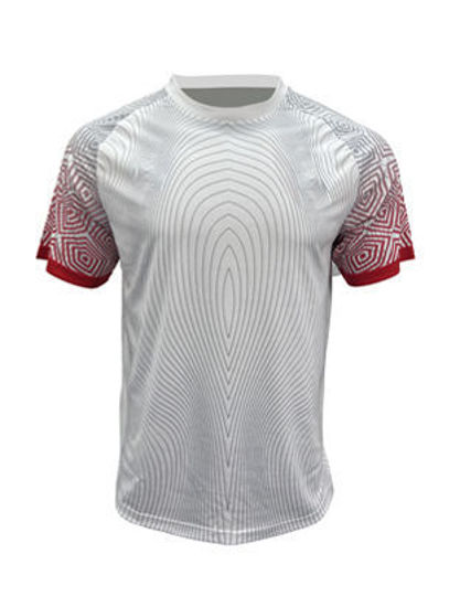 Picture of BOCINI WORLD CUP JERSEY FWC2229