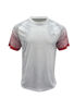 Picture of BOCINI WORLD CUP JERSEY FWC2229