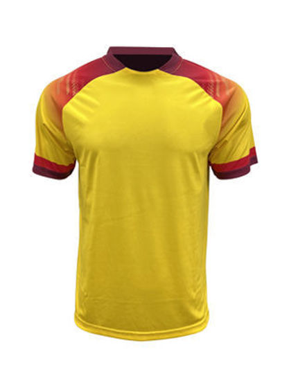 Picture of BOCINI WORLD CUP JERSEY FWC2234