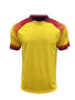 Picture of BOCINI WORLD CUP JERSEY FWC2234