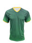 Picture of BOCINI WORLD CUP JERSEY FWC2251