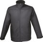 Picture of BOCINI Ladies New Style Soft Shell Jacket CJ1302